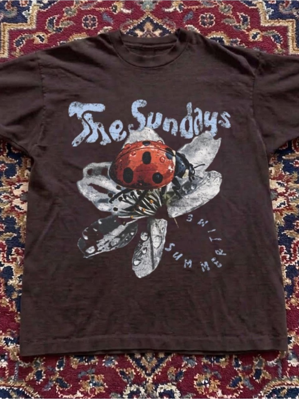 Gildan Brown Tee with Red Ladybug Graphic